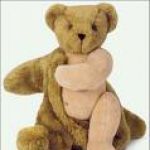 teddy bear